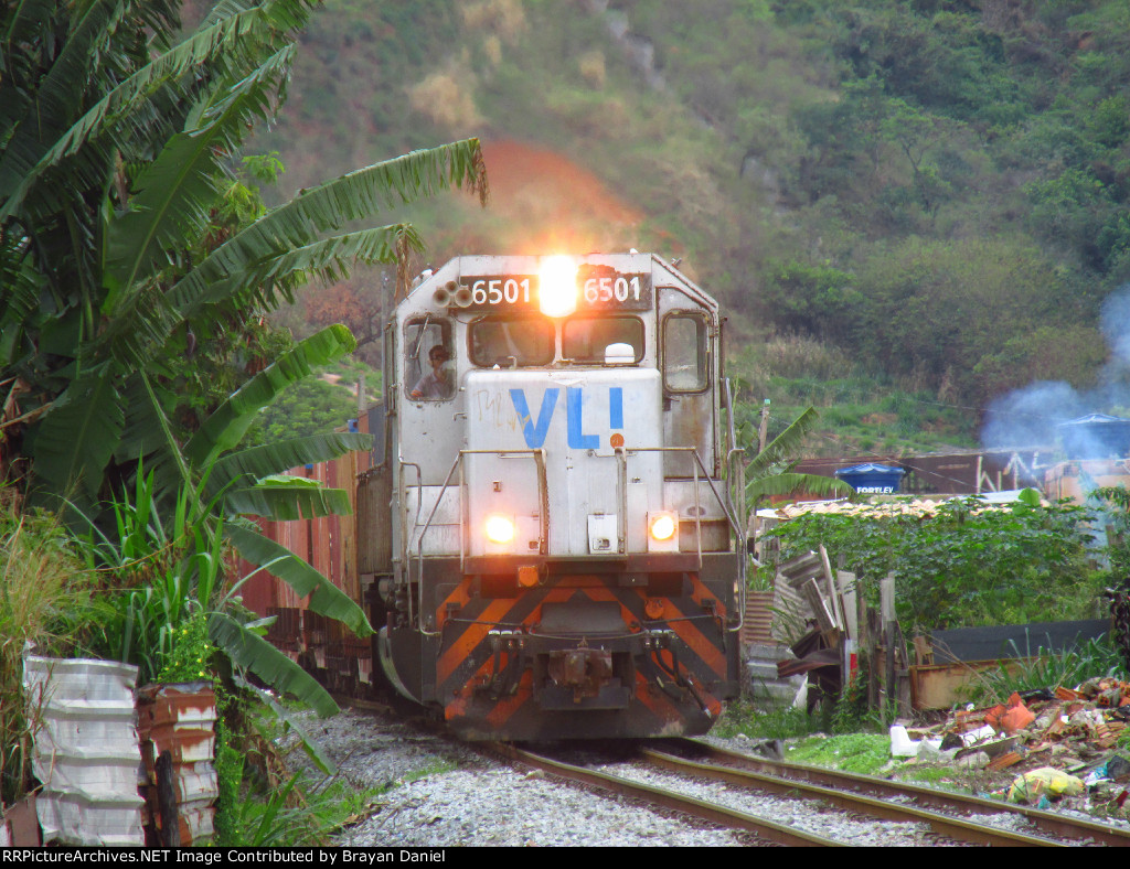 VLI 6501